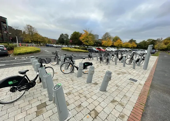 Dromroe Village Of Лимерик